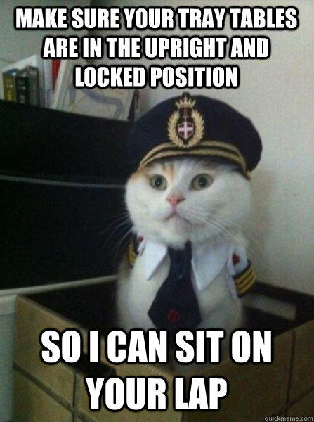 make sure your tray tables are in the upright and locked position so i can sit on your lap - make sure your tray tables are in the upright and locked position so i can sit on your lap  Captain kitteh