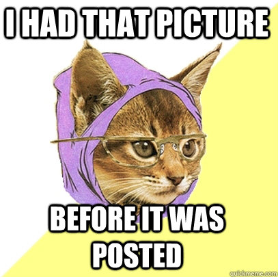 I had that picture before it was posted   Hipster Kitty