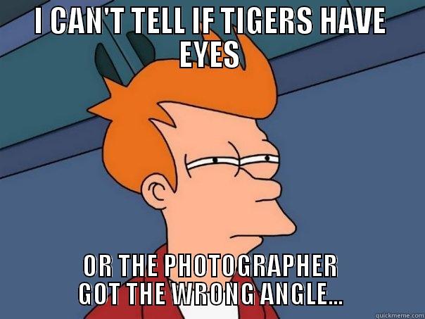 I CAN'T TELL IF TIGERS HAVE EYES OR THE PHOTOGRAPHER GOT THE WRONG ANGLE... Futurama Fry