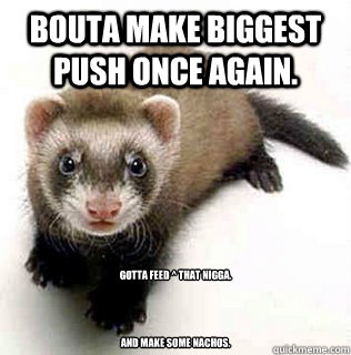 Bouta make biggest push once again. Gotta feed ^ that nigga. 




And make some nachos.  Logical Fallacy Ferret