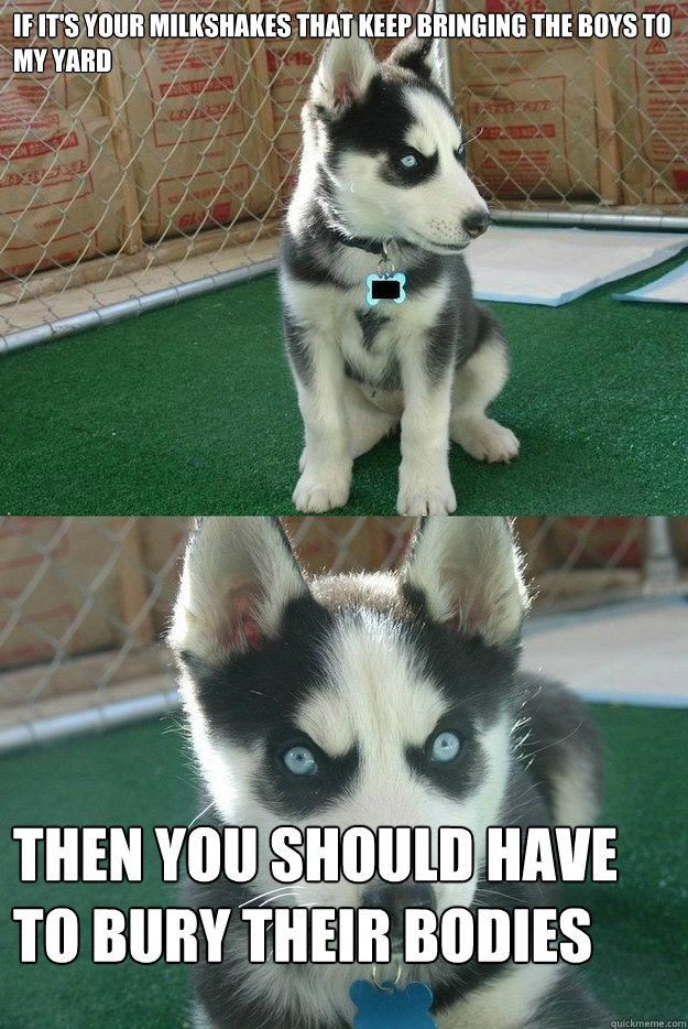 If it's your milkshakes that keep bringing the boys to my yard then you should have to bury their bodies  Insanity puppy