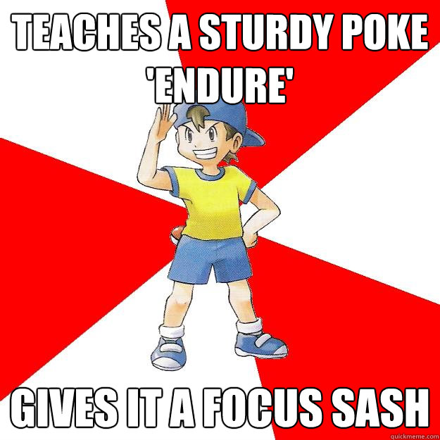 Teaches a Sturdy Poke 'Endure' Gives it a Focus Sash  