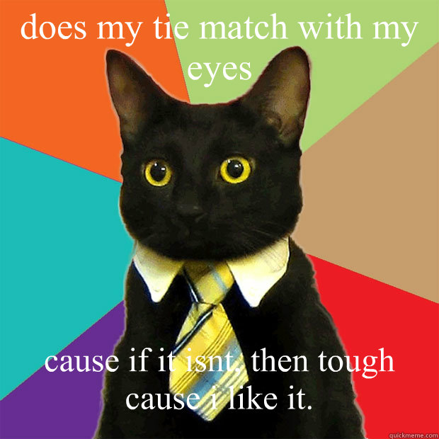 does my tie match with my eyes cause if it isnt, then tough cause i like it.  Business Cat