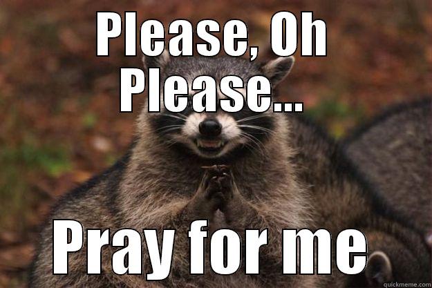 PLEASE, OH PLEASE... PRAY FOR ME Evil Plotting Raccoon