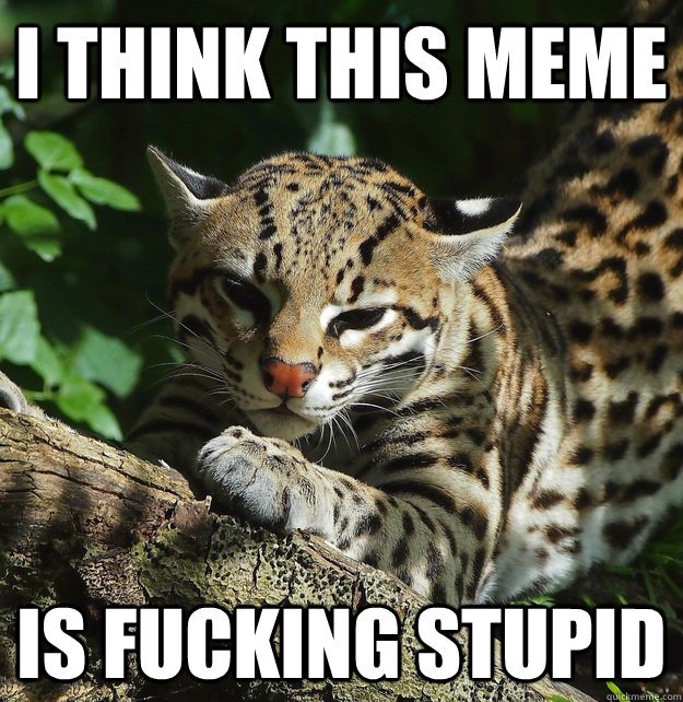 I think this meme is fucking stupid - I think this meme is fucking stupid  Opinion Ocelot