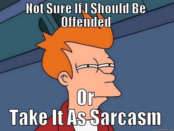 NOT SURE IF I SHOULD BE OFFENDED OR TAKE IT AS SARCASM Futurama Fry