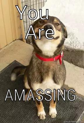 YOU    ARE AMASSING Good Dog Greg