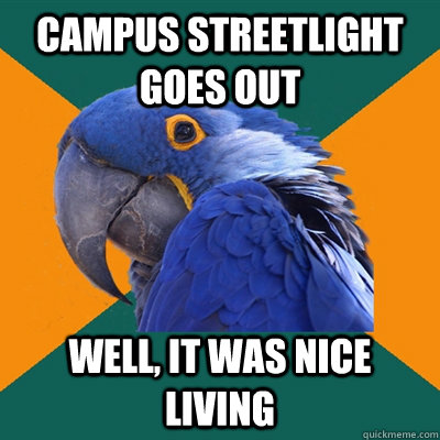 Campus streetlight goes out well, it was nice living  Paranoid Parrot