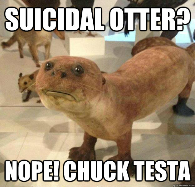 Suicidal Otter? Nope! Chuck Testa  