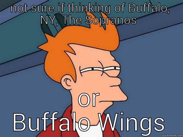 NOT SURE IF THINKING OF BUFFALO, NY, THE SOPRANOS  OR BUFFALO WINGS Futurama Fry