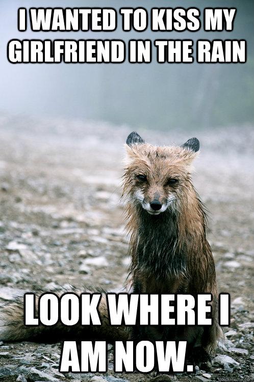 I wanted to kiss my girlfriend in the rain Look where I am now.  Sad Fox