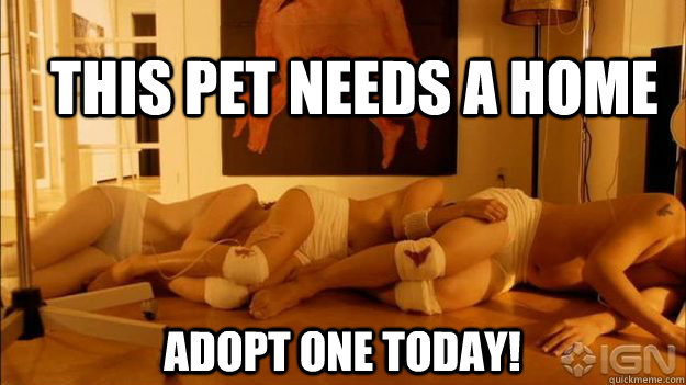 This pet needs a home adopt one today!  