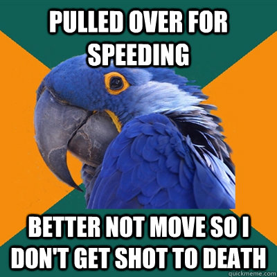 Pulled over for speeding better not move so i don't get shot to death  Paranoid Parrot