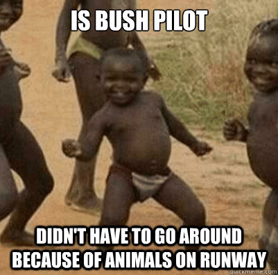 Is bush pilot Didn't have to go around because of animals on runway  3rd world success kid