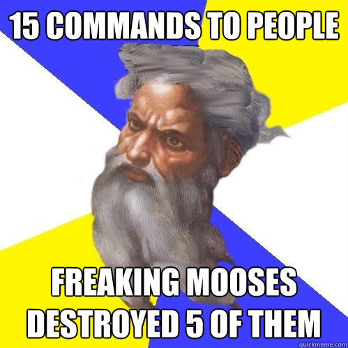 15 commands to people  Freaking mooses destroyed 5 of them  Advice God