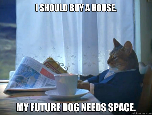 I should buy a house.  My future dog needs space.  The One Percent Cat