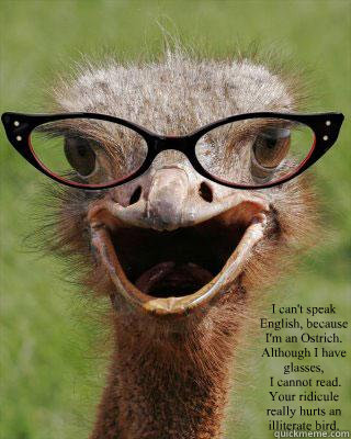  I can't speak English, because I'm an Ostrich. Although I have glasses,
 I cannot read. Your ridicule really hurts an illiterate bird. -   I can't speak English, because I'm an Ostrich. Although I have glasses,
 I cannot read. Your ridicule really hurts an illiterate bird.  Judgmental Bookseller Ostrich