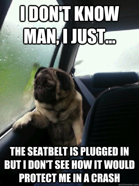 I don't know man, I just... The seatbelt is plugged in but I don't see how it would protect me in a crash  Introspective Pug