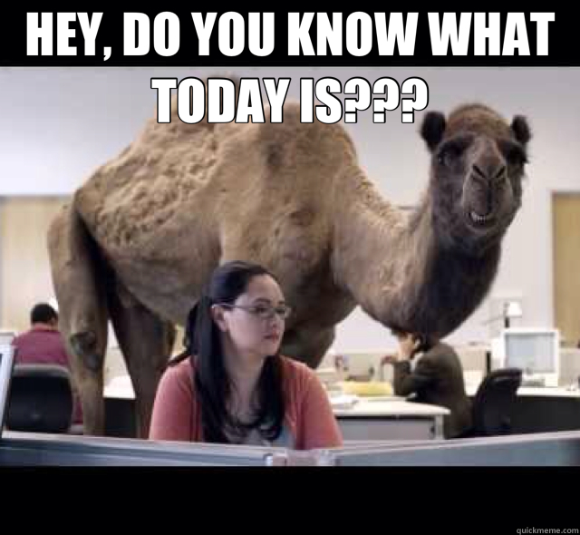 HEY, DO YOU KNOW WHAT TODAY IS???  - HEY, DO YOU KNOW WHAT TODAY IS???   hump day