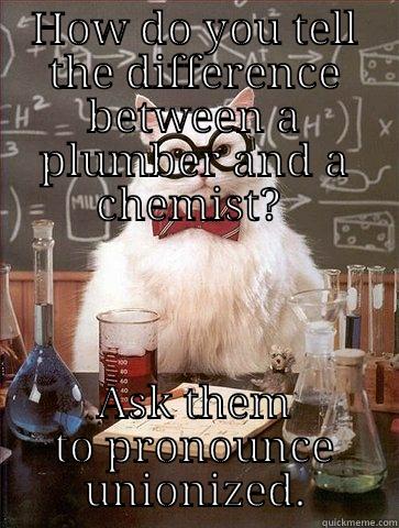 Oh the ion-y! - HOW DO YOU TELL THE DIFFERENCE BETWEEN A PLUMBER AND A CHEMIST?  ASK THEM TO PRONOUNCE UNIONIZED. Chemistry Cat