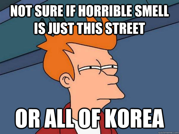 Not sure if horrible smell is just this street Or all of Korea  Futurama Fry