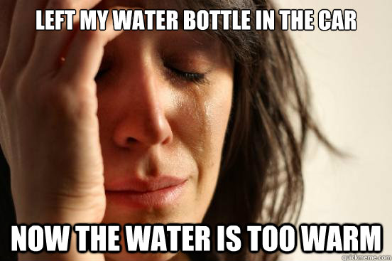 left my water bottle in the car  now the water is too warm  First World Problems