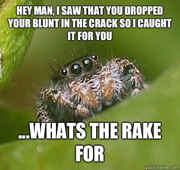 Hey man, i saw that you dropped your blunt in the crack so I caught it for you ...whats the rake for  Misunderstood Spider
