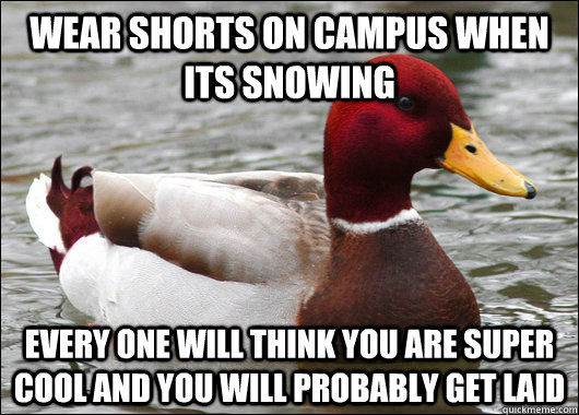 Wear Shorts on Campus When Its Snowing Every one will think you are super cool and you will probably get laid  Malicious Advice Mallard
