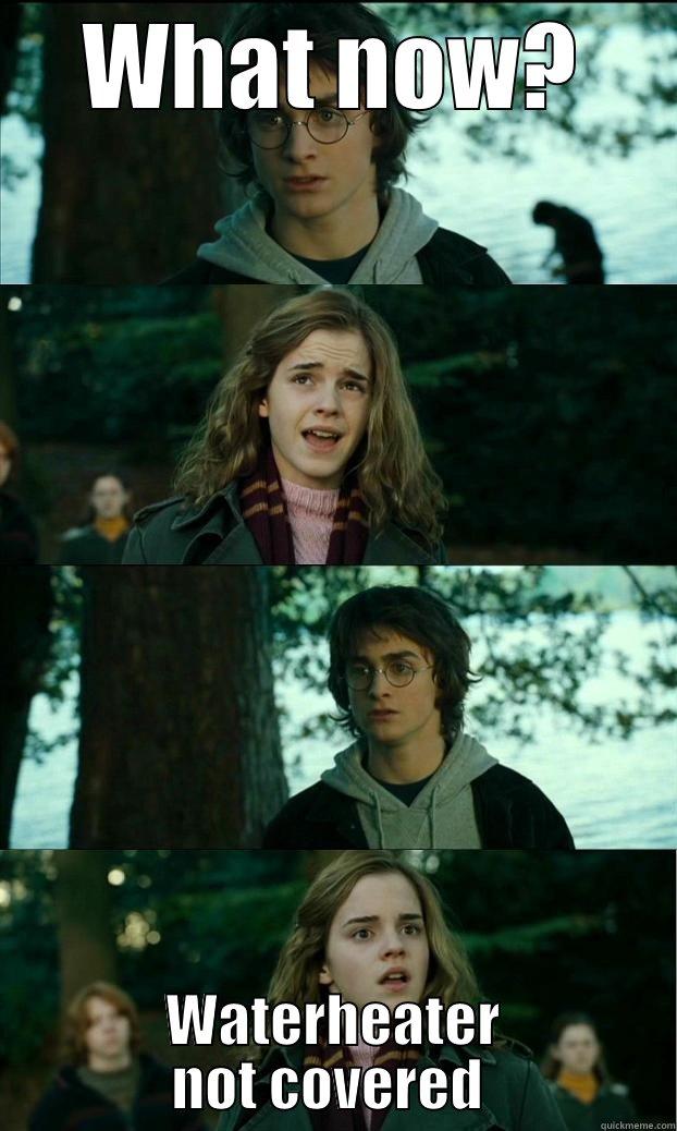 WHAT NOW? WATERHEATER NOT COVERED  Horny Harry