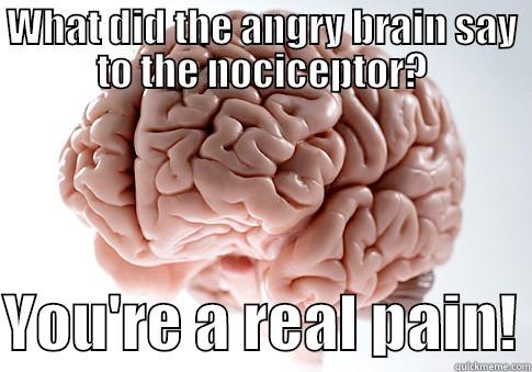 Brainny Jokes - WHAT DID THE ANGRY BRAIN SAY TO THE NOCICEPTOR?  YOU'RE A REAL PAIN! Scumbag Brain