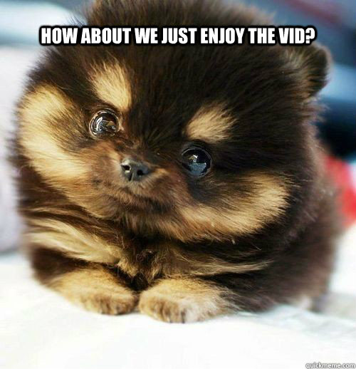 how about we just enjoy the vid? - how about we just enjoy the vid?  How I feel when I see people arguing on youtube