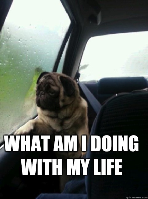  What am I doing with my life  Introspective Pug