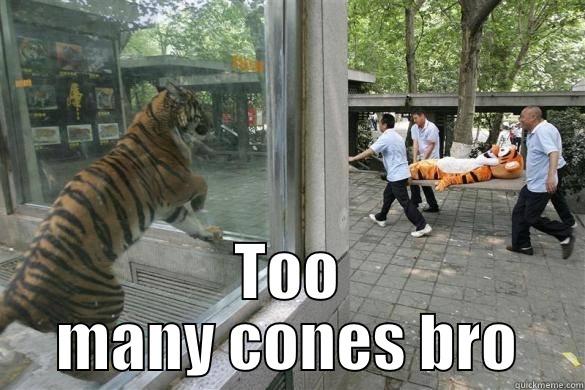  TOO MANY CONES BRO Misc