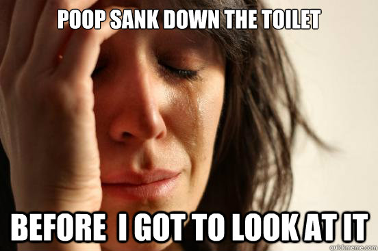Poop sank down the toilet before  i got to look at it  First World Problems