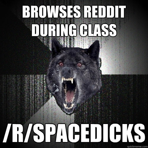 Browses reddit during class /R/spacedicks  Insanity Wolf