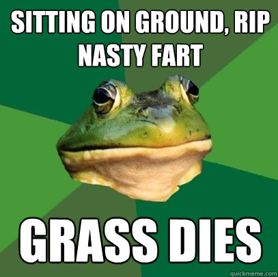 sitting on ground, rip nasty fart grass dies  Foul Bachelor Frog