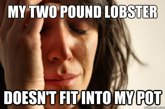 My two pound lobster doesn't fit into my pot  First World Problems