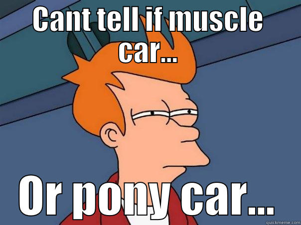 CANT TELL IF MUSCLE CAR... OR PONY CAR... Futurama Fry