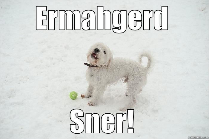 ermahgerd SNER! - ERMAHGERD SNER! Misc