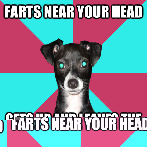 Farts near your head gets up and leaves the room  Dickhead Dog