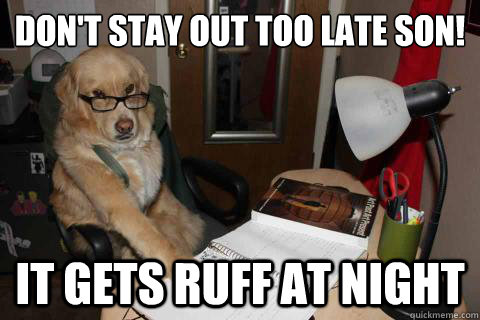 Don't stay out too late son! It gets Ruff at night  Disapproving Dad Dog