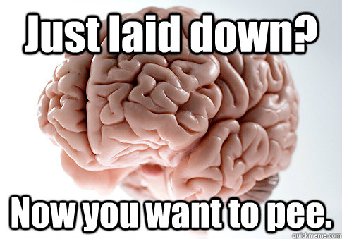 Just laid down? Now you want to pee.  Scumbag Brain