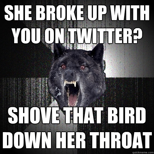 she broke up with you on twitter? shove that bird down her throat  Insanity Wolf