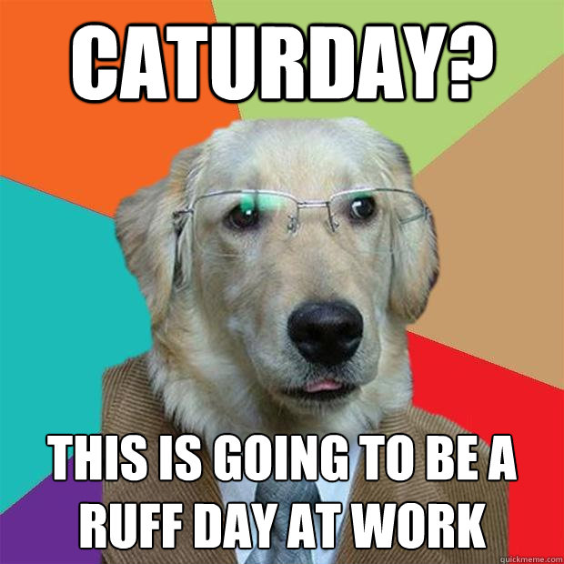 caturday? this is going to be a ruff day at work  Business Dog