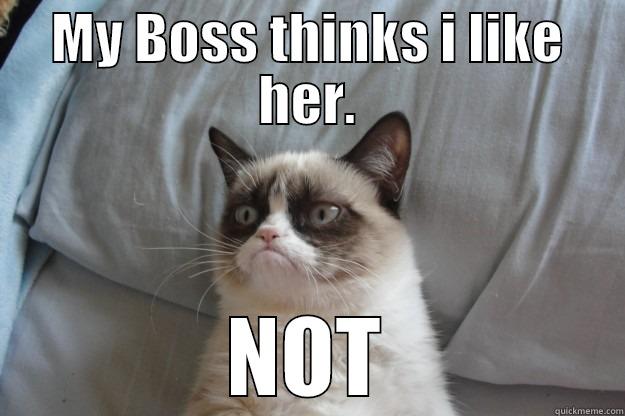 MY BOSS THINKS I LIKE HER. NOT Grumpy Cat