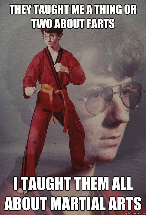 THEY TAUGHT ME A THING OR TWO ABOUT FARTS I TAUGHT THEM ALL ABOUT MARTIAL ARTS   Karate Kyle