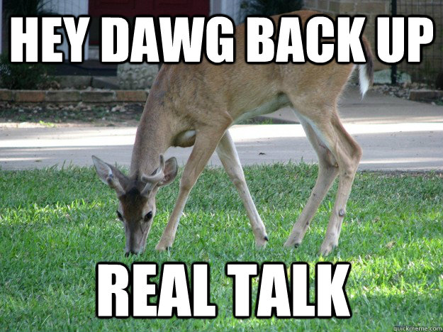 Hey dawg back up Real talk - Hey dawg back up Real talk  Deer