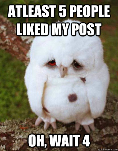 atleast 5 people liked my post oh, wait 4 - atleast 5 people liked my post oh, wait 4  Depressed Baby Owl