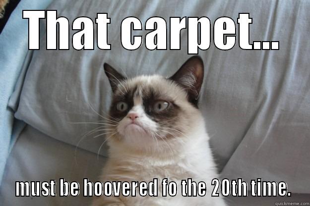 THAT CARPET... MUST BE HOOVERED FO THE 20TH TIME. Grumpy Cat