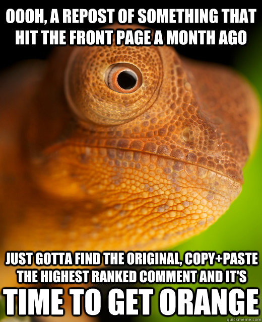 Oooh, a repost of something that hit the front page a month ago Just gotta find the original, copy+paste the highest ranked comment and it's Time to get orange - Oooh, a repost of something that hit the front page a month ago Just gotta find the original, copy+paste the highest ranked comment and it's Time to get orange  The New Karma Chameleon